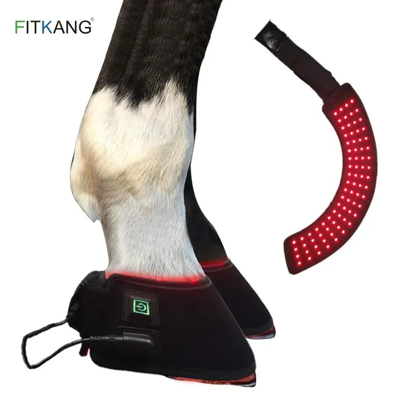 Red light therapy product for pets horse hoof